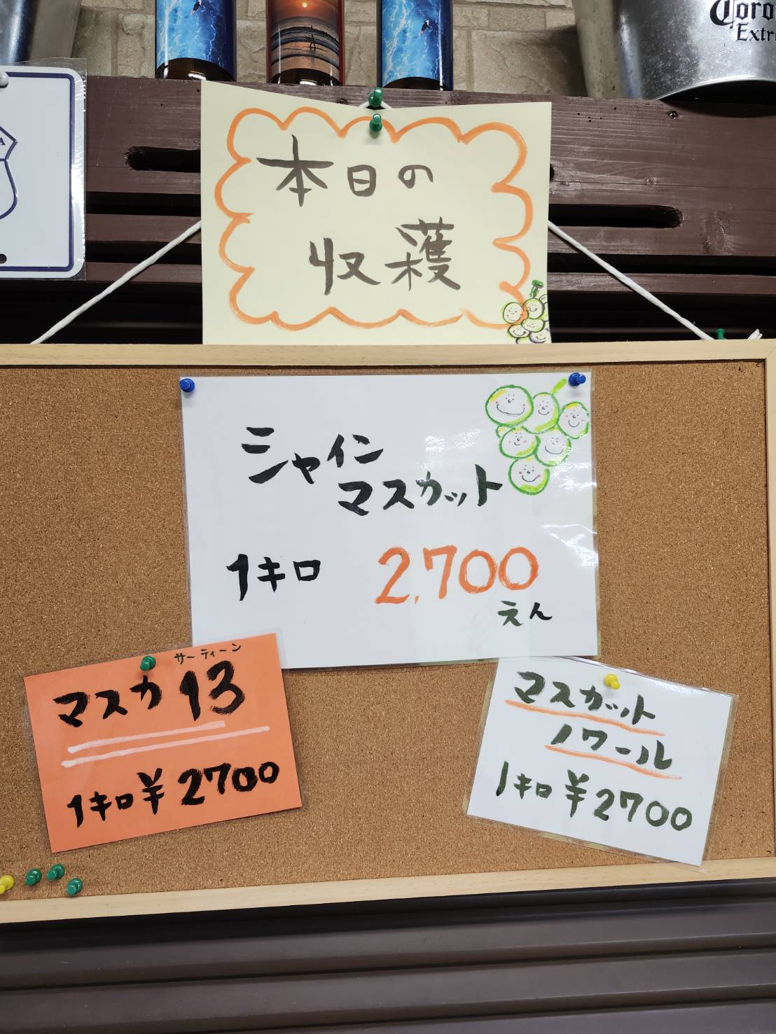 池尻果房園の本日の収穫案内
